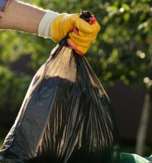 Waste collection for events industry. Man putting bin bag in bin.